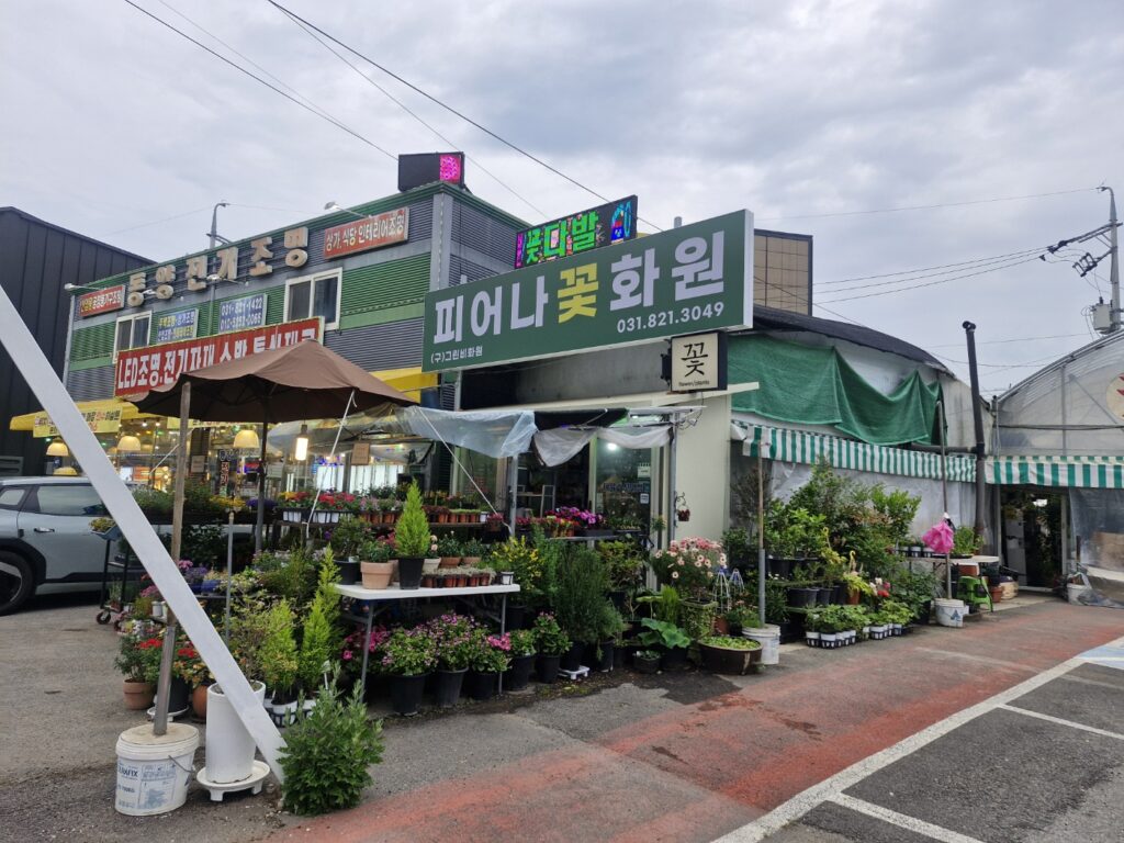 피2
